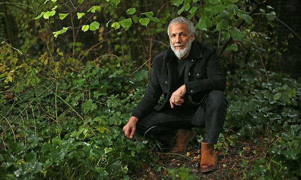 Yusuf-Cat-Stevens-HEADER