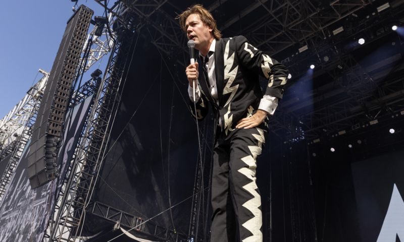 The Hives