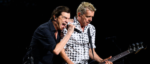 Die Toten Hosen