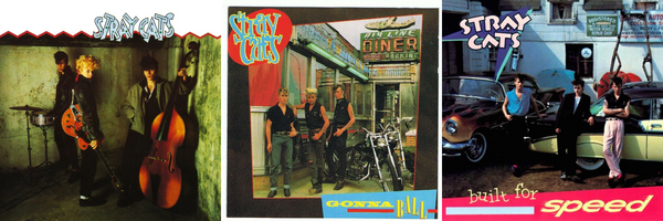 Collage_Stray_Cats