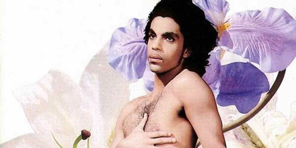 prince-513e084a277d0