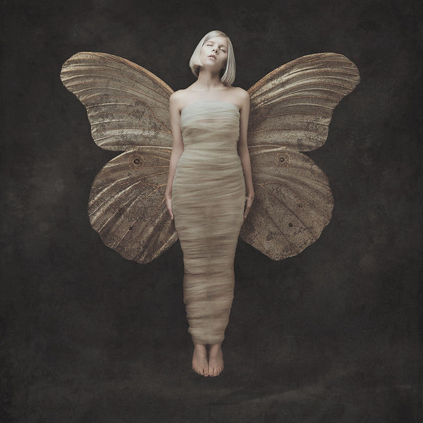 AURORA - All My Demons Greeting Me As A Friend (LP) (Vinyl LP)