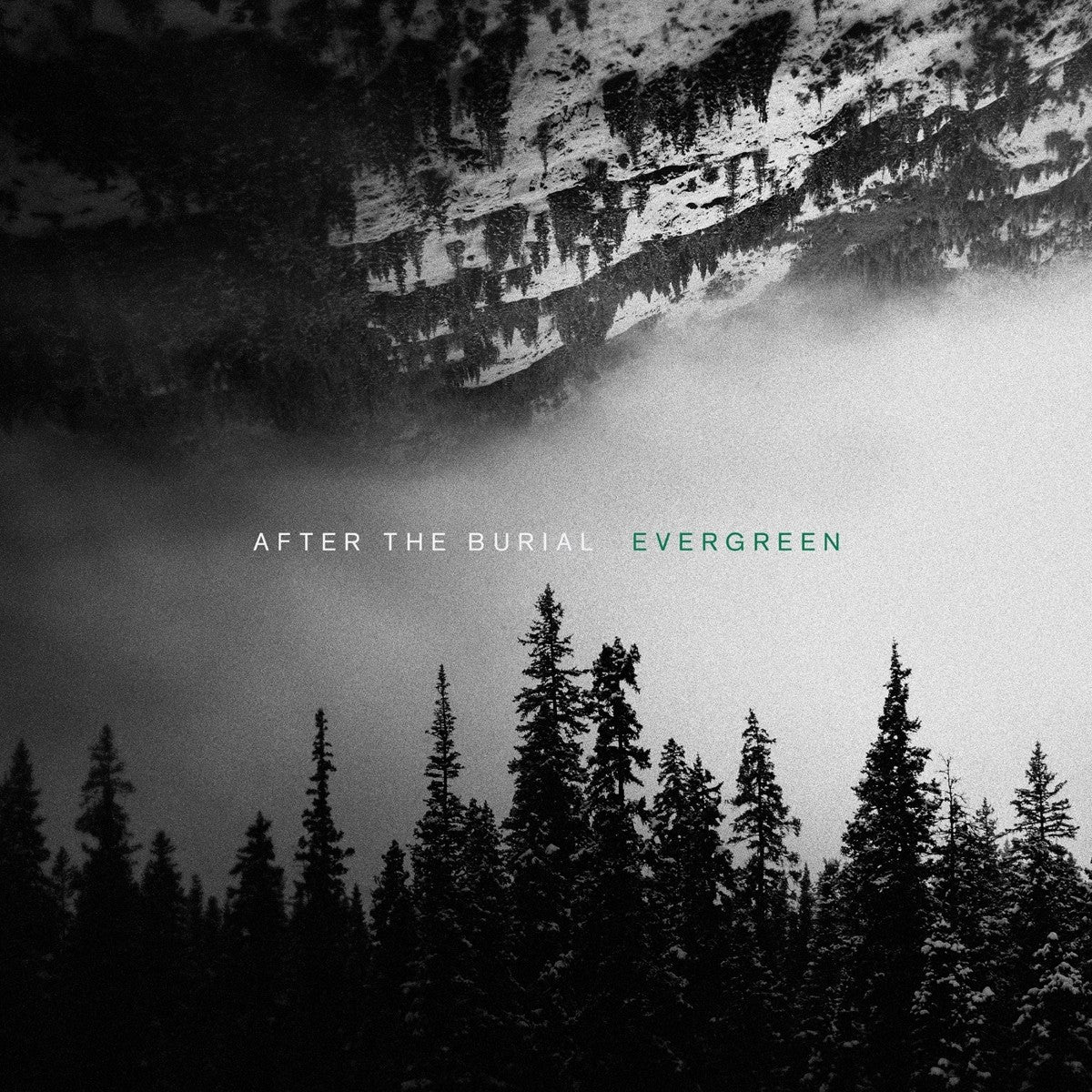 After The Burial EVERGREEN (LP) Vinyl 426416