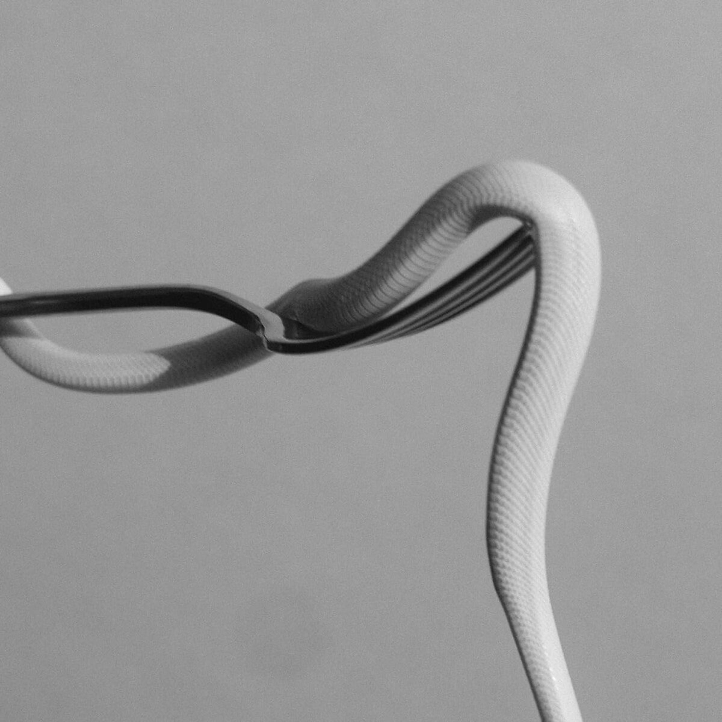 Animals As Leaders PARRHESIA (BLACK IN BABY BLUE in Ultra Clear LP) Vinyl 429898