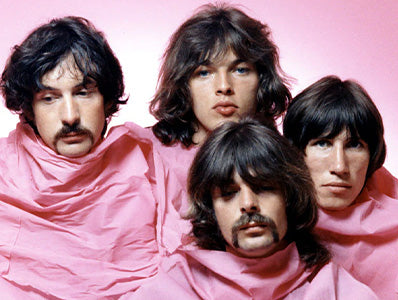 Portrait of Pink Floyd