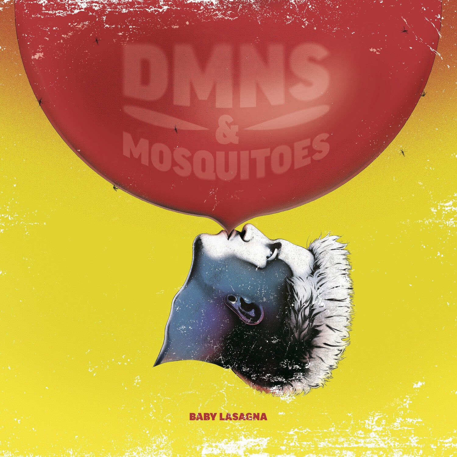 Baby Lasagna DMNS & MOSQUITOES Limitierte Rote LP + Exklusiver Signierter Art Print 393138
