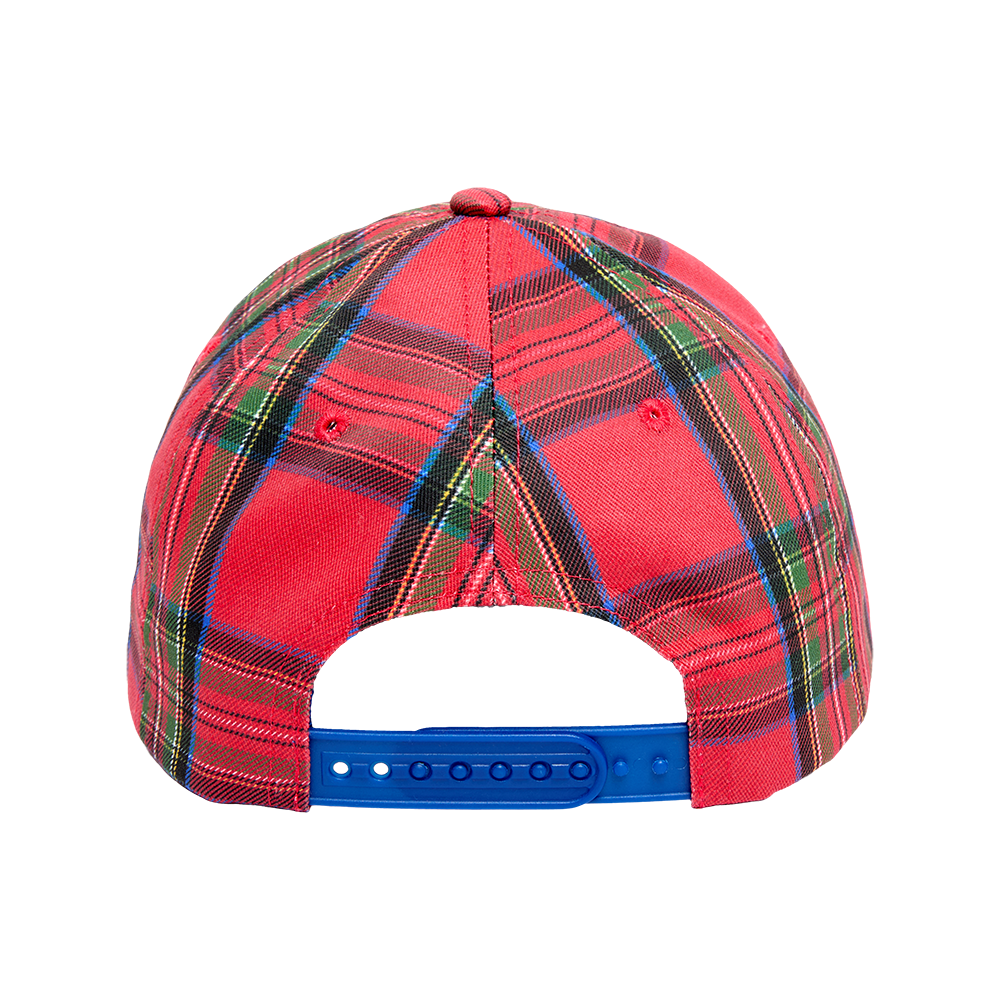 Billie Eilish Billie Tartan Plaid Snapback Hat Dad Hat 428810