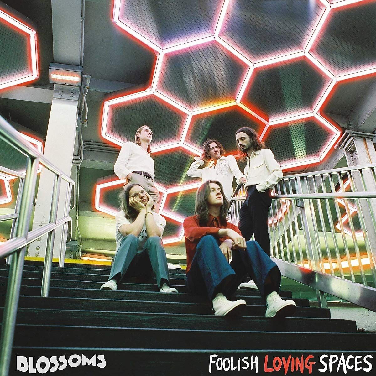 Blossoms Foolish Loving Spaces Vinyl LP 448160