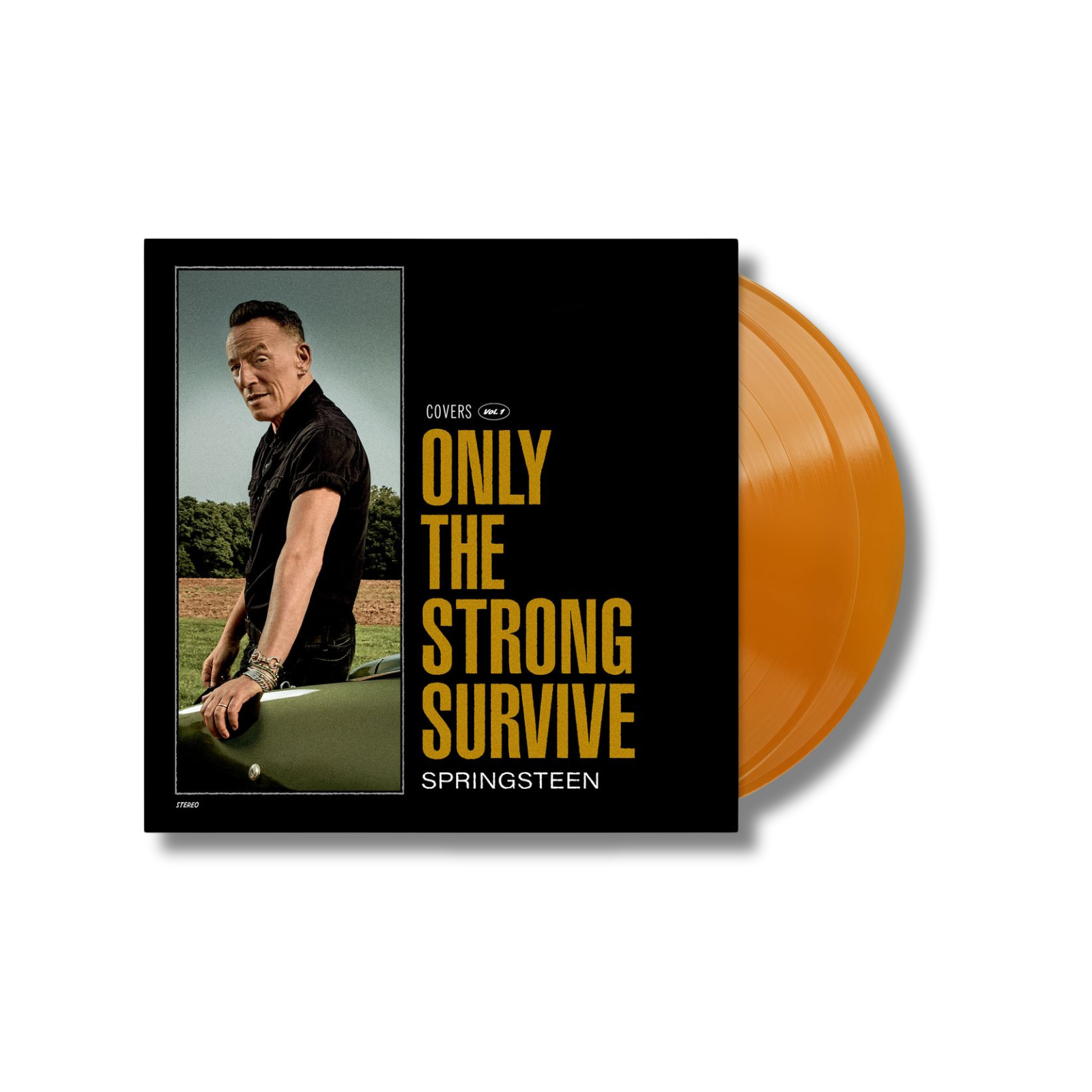 Bruce Springsteen Only The Strong Survive (Limited Orange Vinyl Edition) Orange Vinyl 2LP - Gatefold + Etching 450918