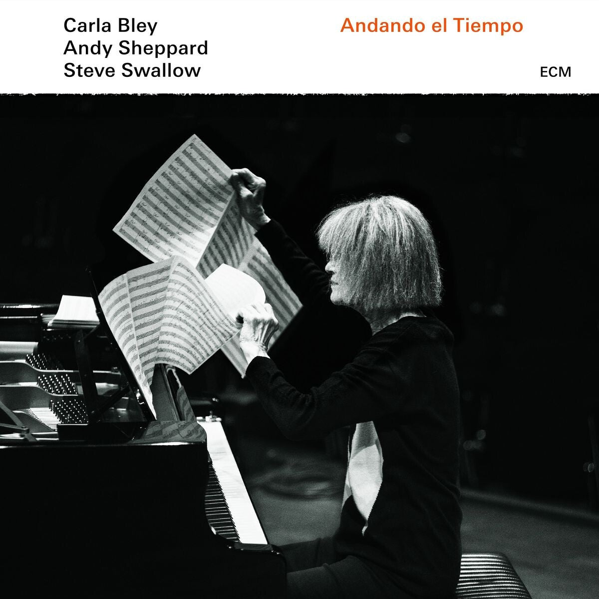 Carla Bley, Steve Swallow, Andy Sheppard Andando El Tiempo Vinyl 379021