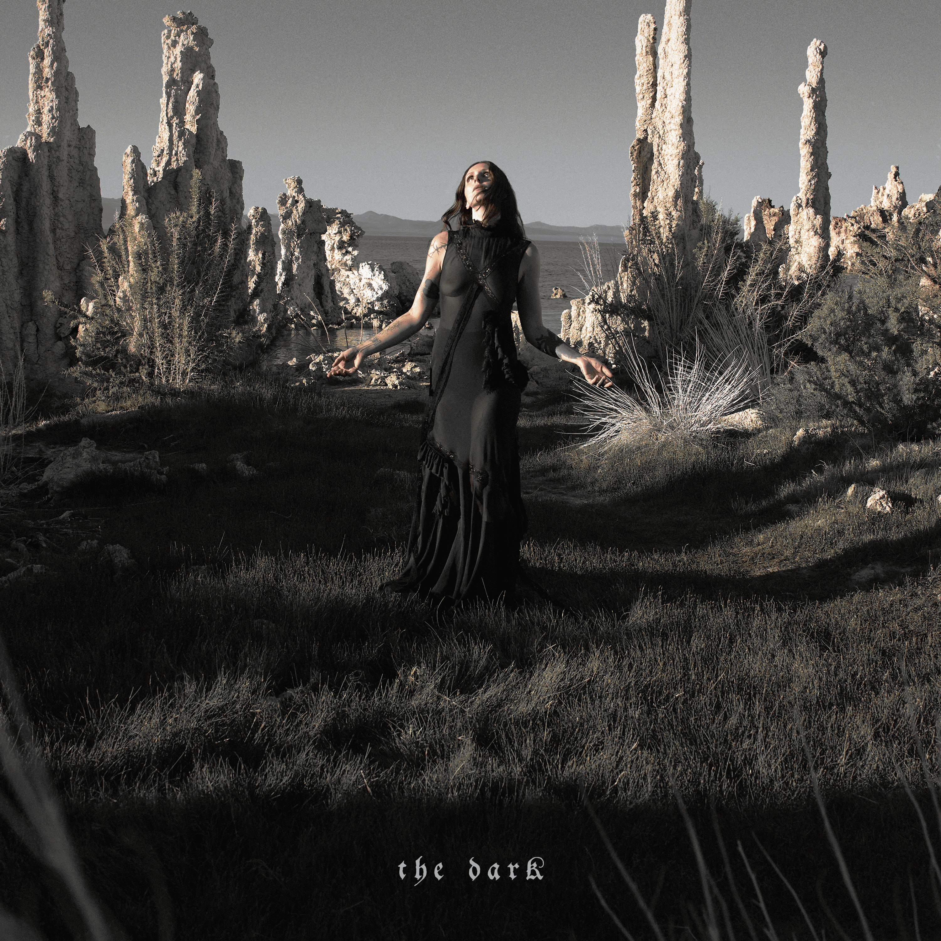 Chelsea Wolfe The Dark 1LP 454001