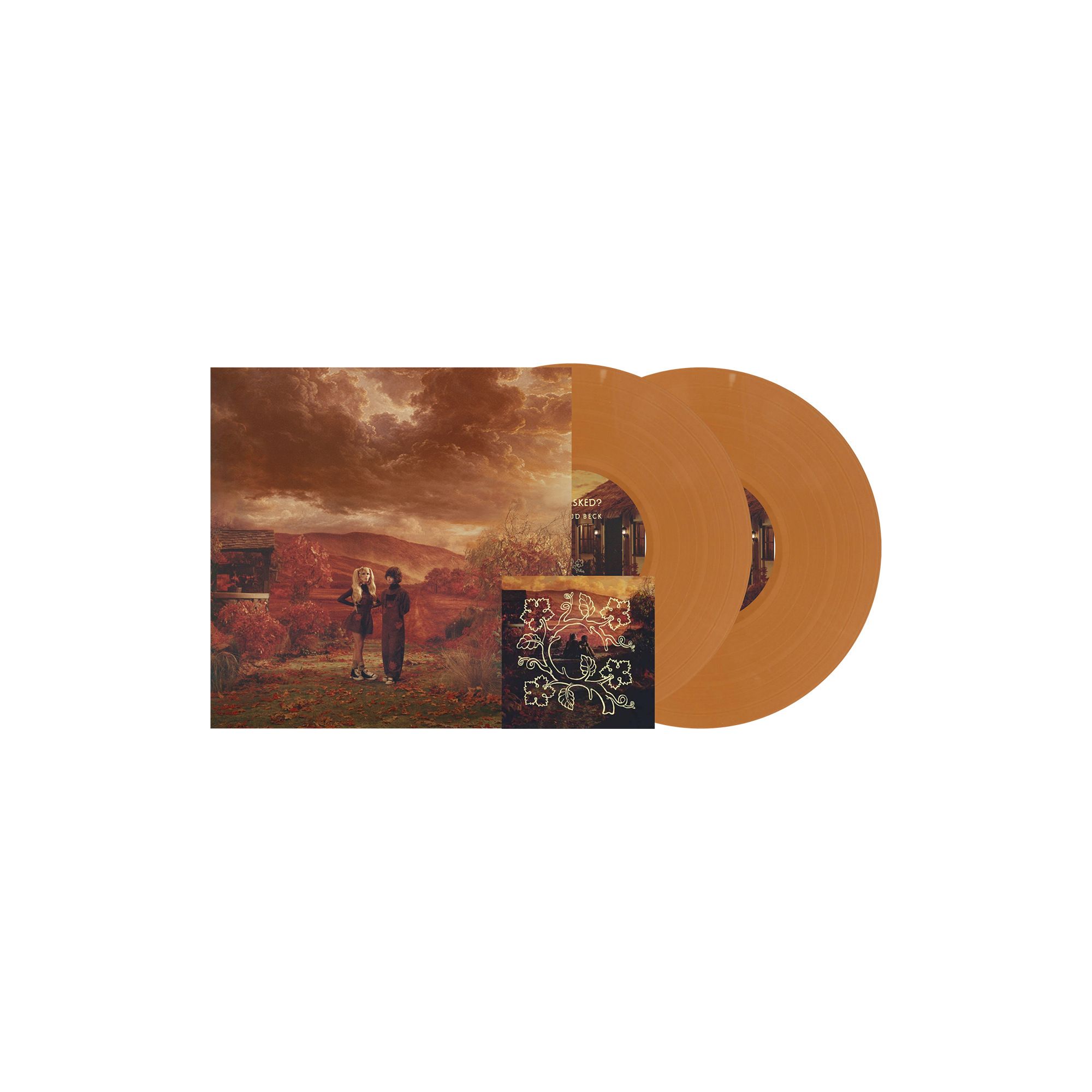 DOMi & JD BECK WHO ASKED? Col. 2LP + sign. Art Card 451468