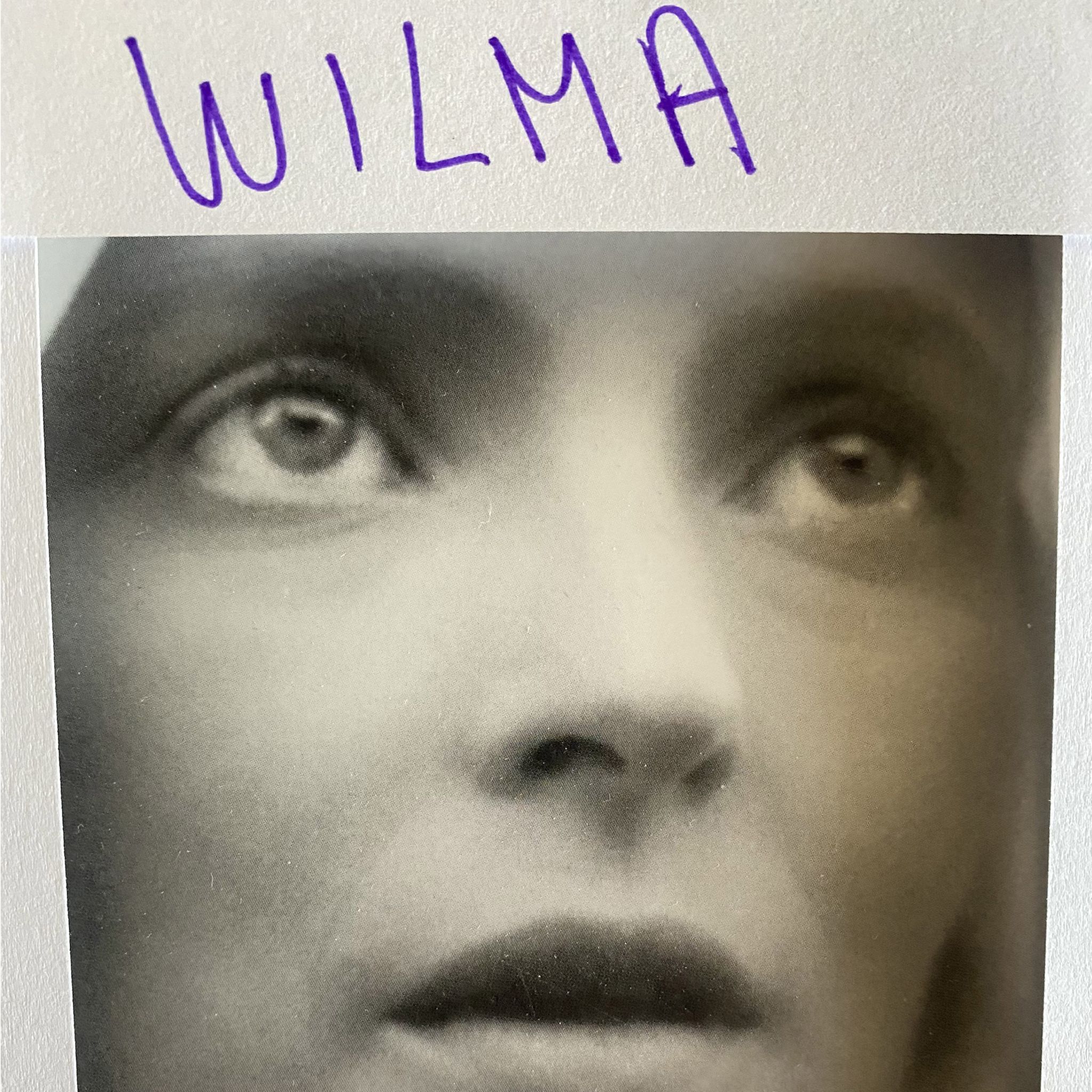 Daniele Luppi Wilma LP 458421
