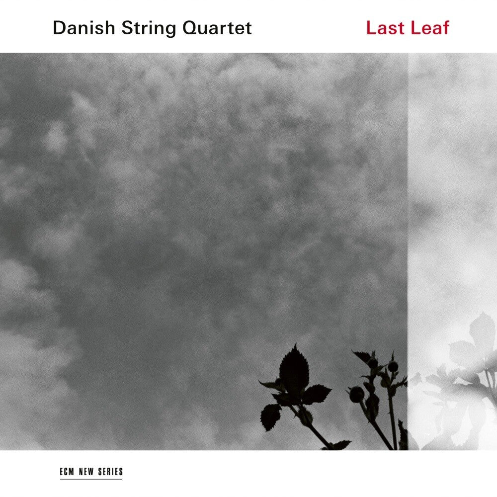 https://images.bravado.de/prod/product-assets/danish-string-quartet/danish-string-quartet/products/508748/web/451519/image-thumb__451519__3000x3000_original/Danish-String-Quartet-Last-Leaf-Vinyl-Album-508748-451519.7bdd812f.jpg