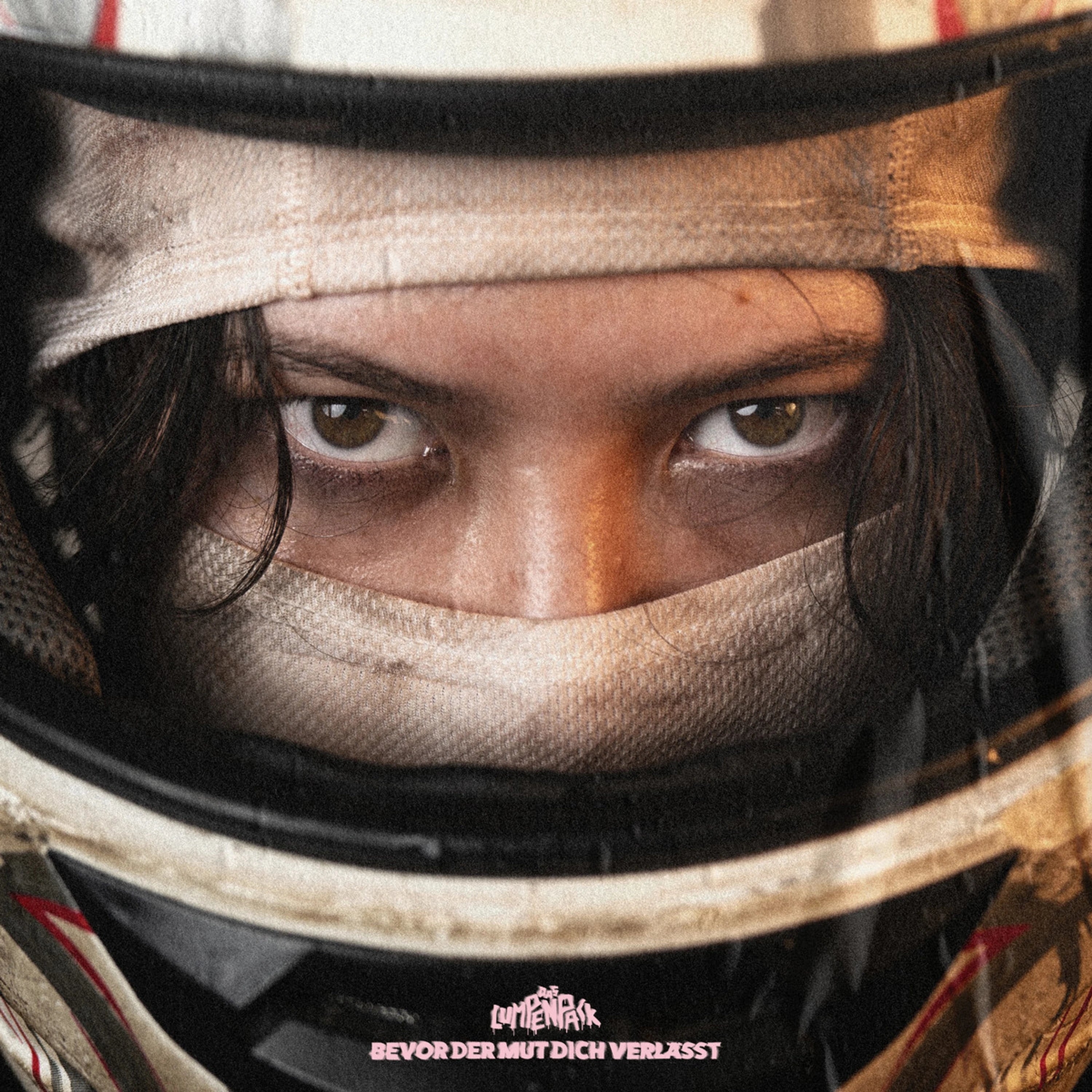 Das Lumpenpack Bevor der Mut dich verlässt Rosa Vinyl LP 440469