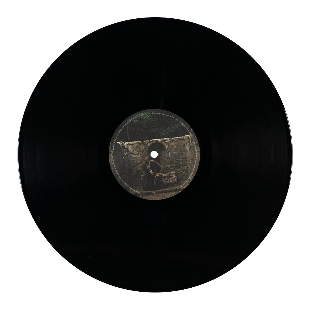 Dermot Kennedy The Weight of the Woods - Recycled Black Vinyl 440351