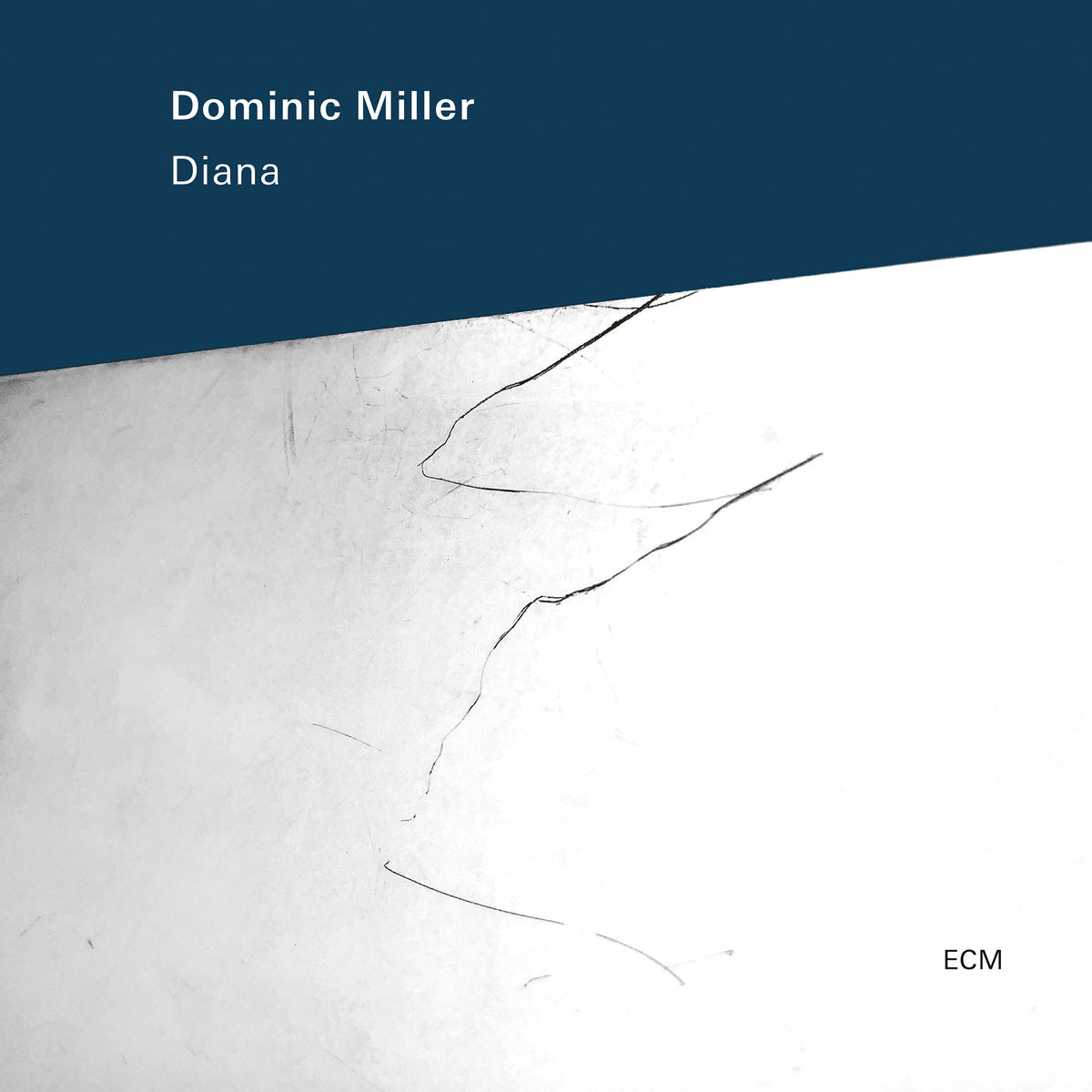 Dominic Miller Diana LP 463101