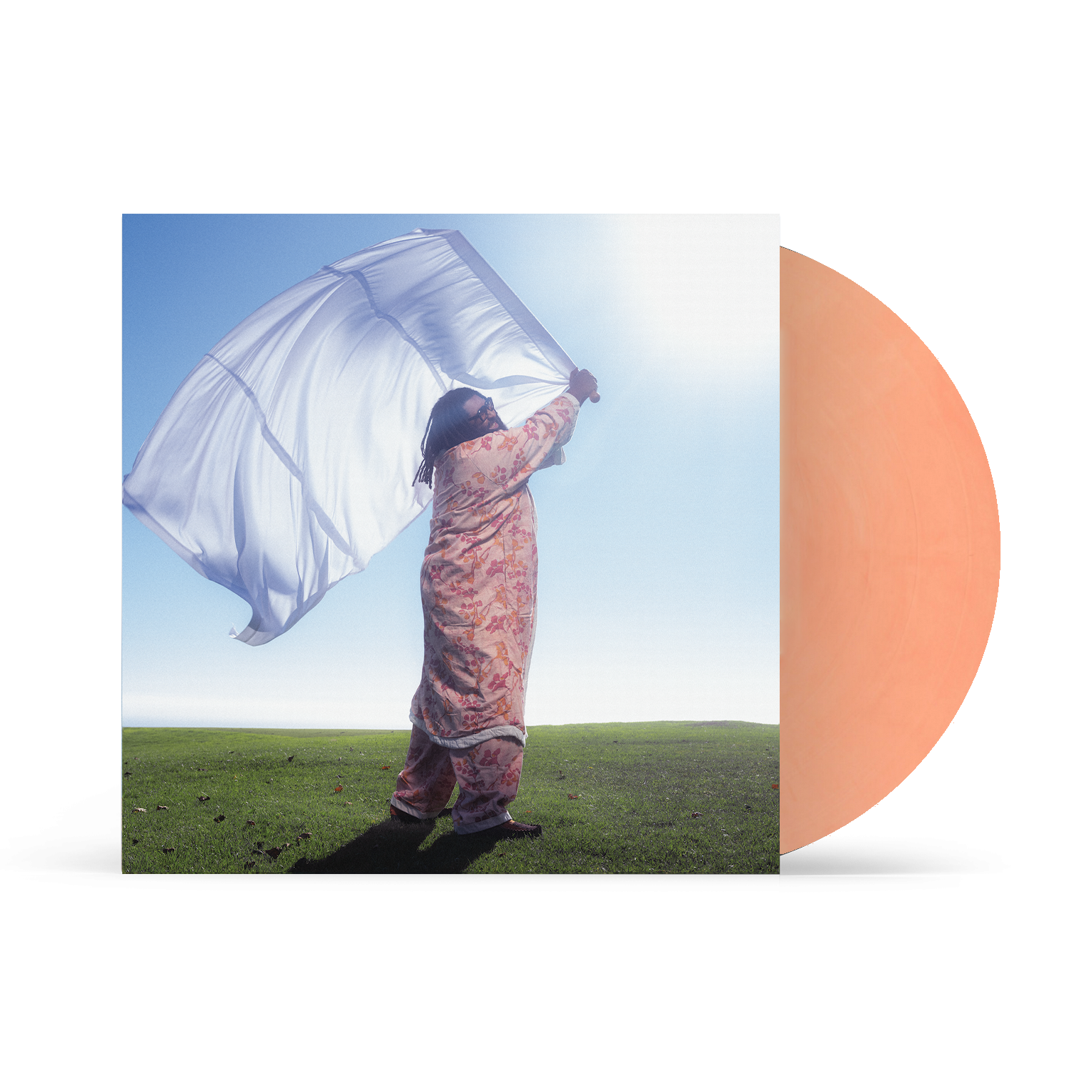 Elmiene Sounds For Someone Alternative Artwork Orange LP 433301