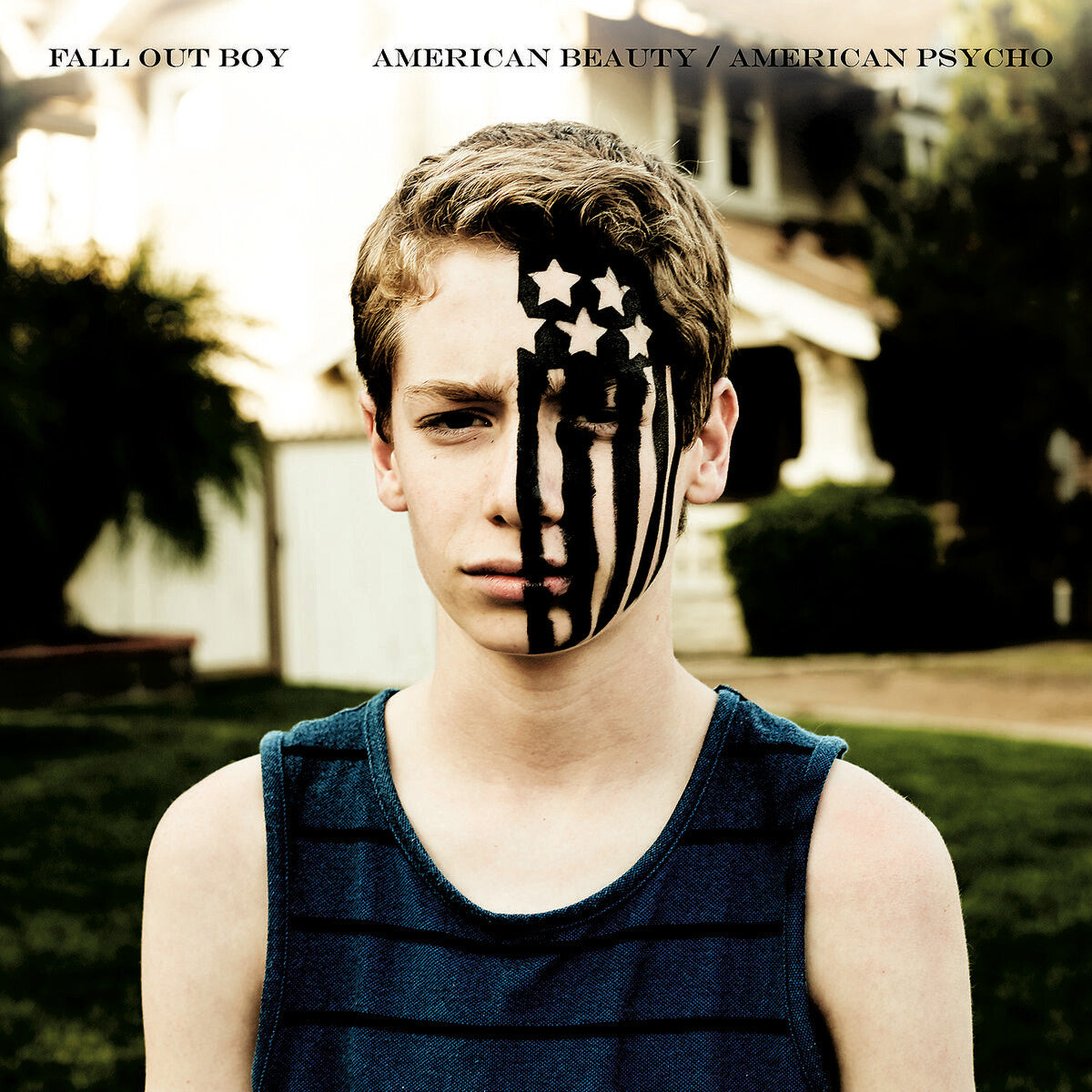 Fall Out Boy American Beauty/American Psycho Vinyl 379453