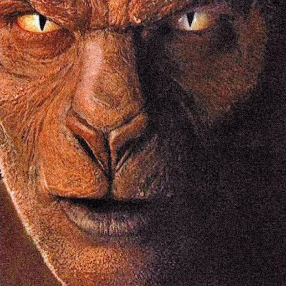 Fogerty,John Eye Of The Zombie Vinyl 427310