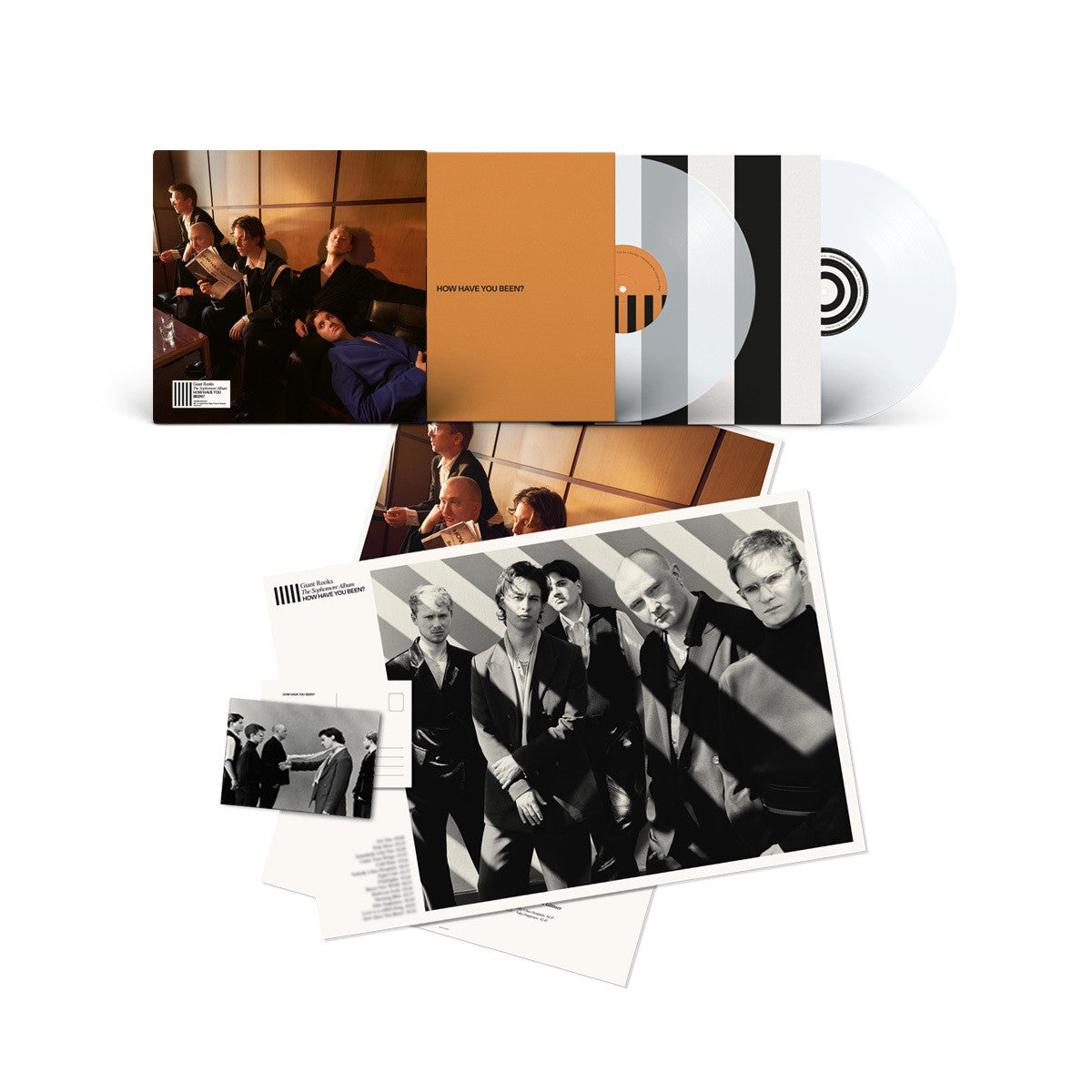 Giant Rooks How Have You Been? Ltd. 2LP crystal clear signiert 326951