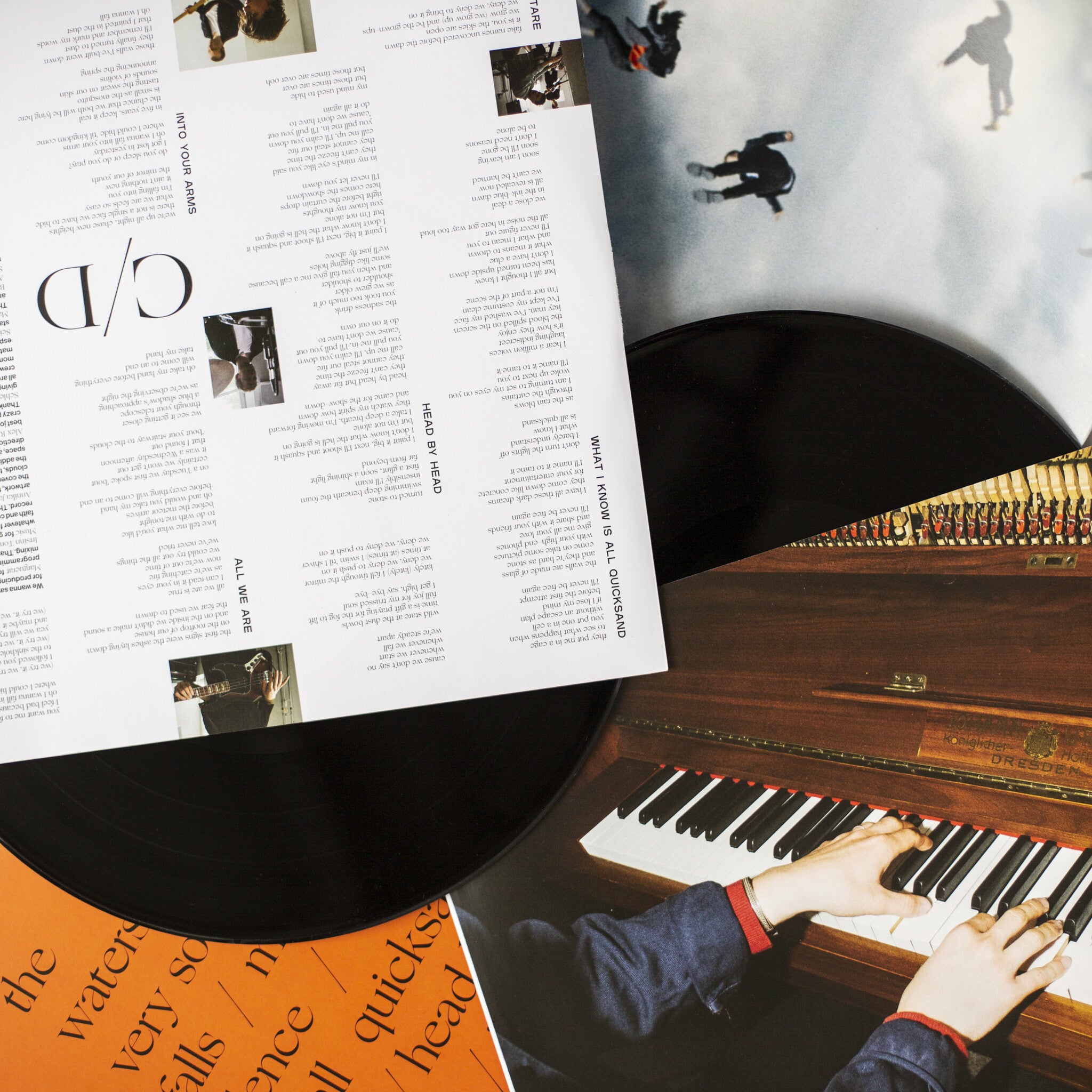 Giant Rooks ROOKERY Vinyl 308100