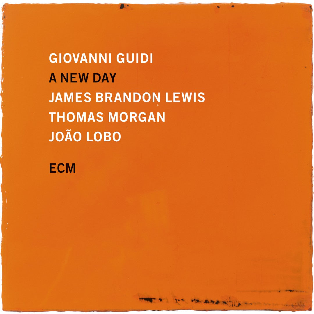 Giovanni Guidi, James Brandon Lewis, Thomas Morgan, João Lobo A New Day LP 364927