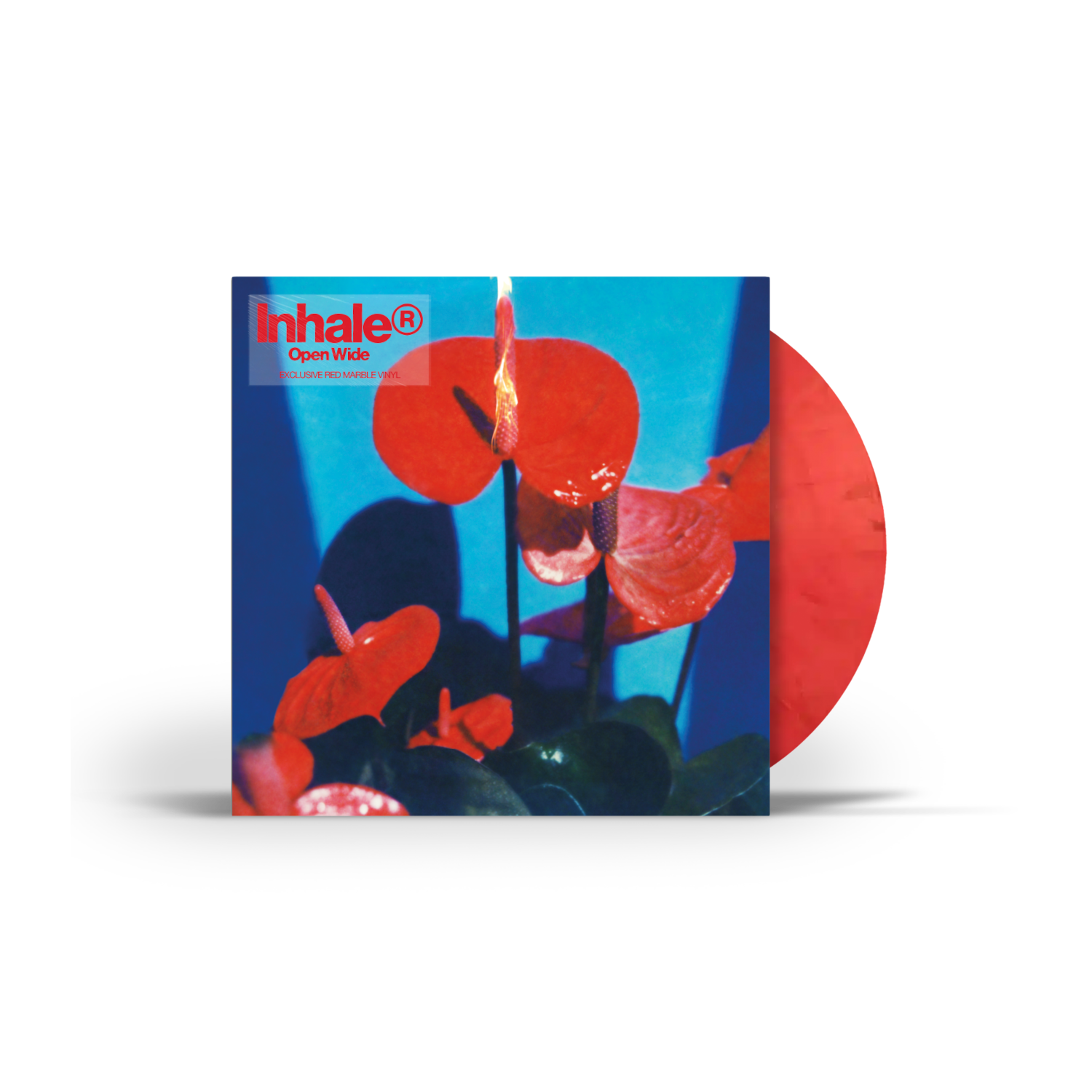 Inhaler Open Wide Store Exclusive Vinyl + Signed Art Card 385984