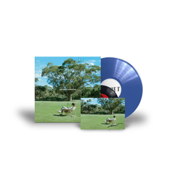 Jamie T - The Theory Of Whatever (Vinyl)