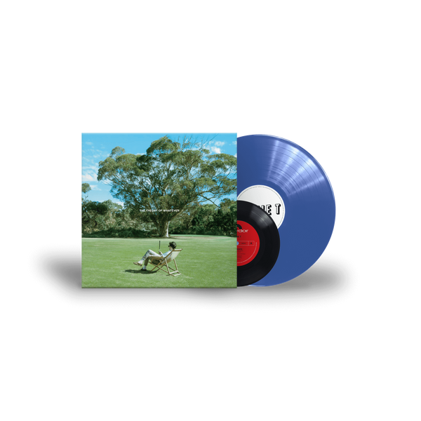 Jamie T - The Theory Of Whatever (Vinyl)