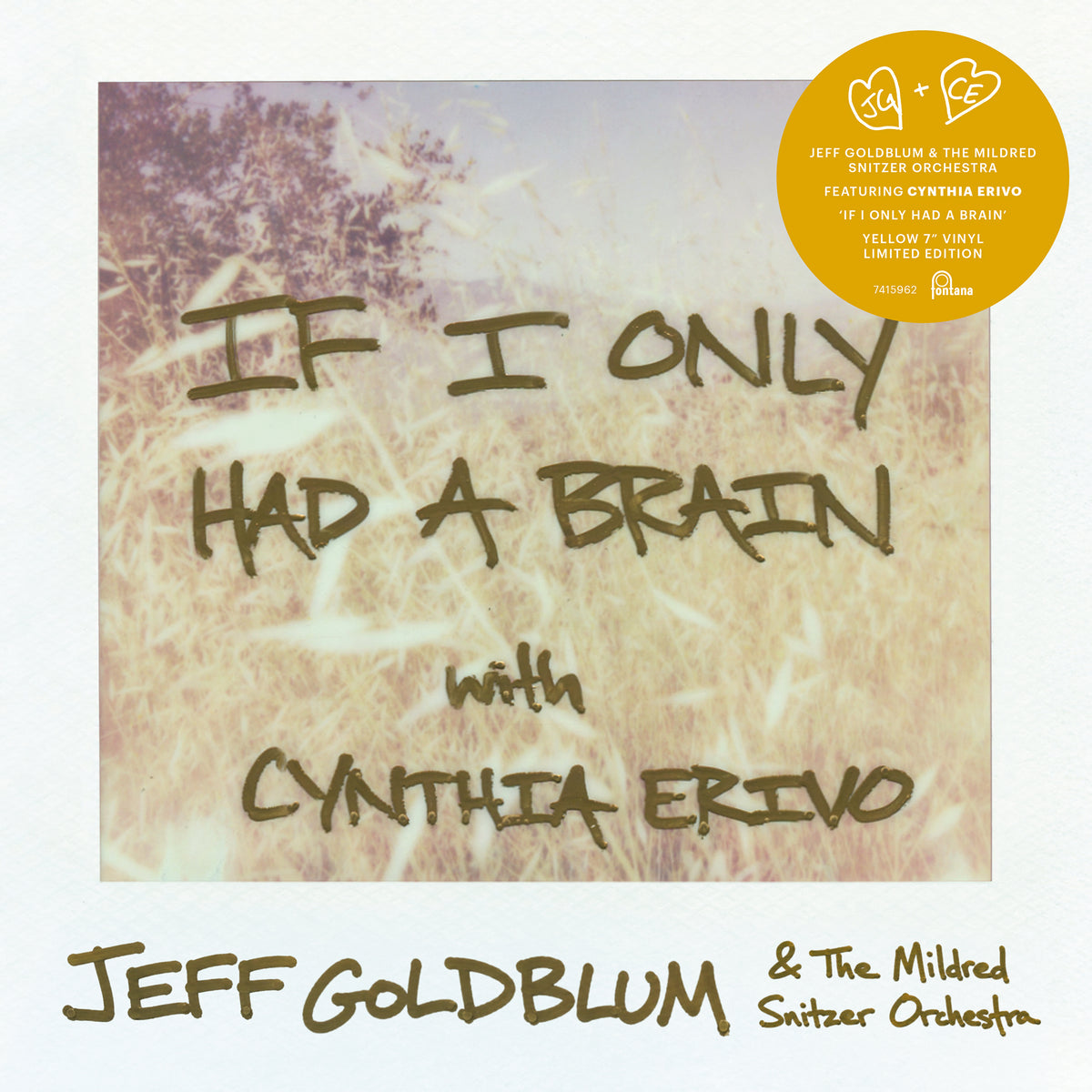 Jeff Goldblum & Cynthia Erivo If I Only Had A Brain Col. 7" Single 464043