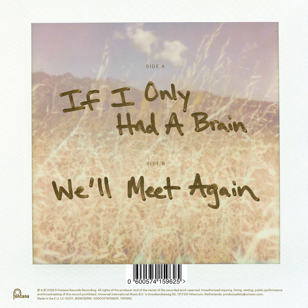 Jeff Goldblum & Cynthia Erivo If I Only Had A Brain Col. 7" Single 464041