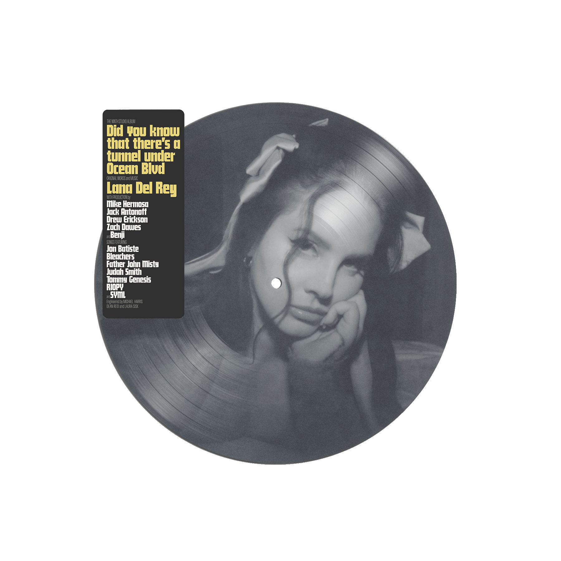 Lana Del Rey Did you know that there's a tunnel under ocean blvd Exclusive Picture Disc Vinyl 290670