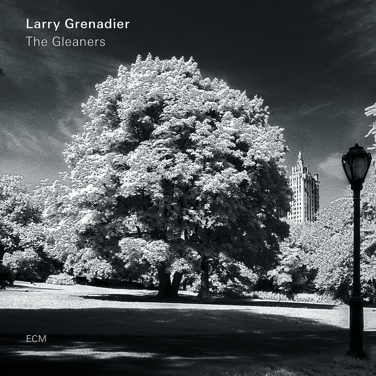 Larry Grenadier The Gleaners Vinyl 379561