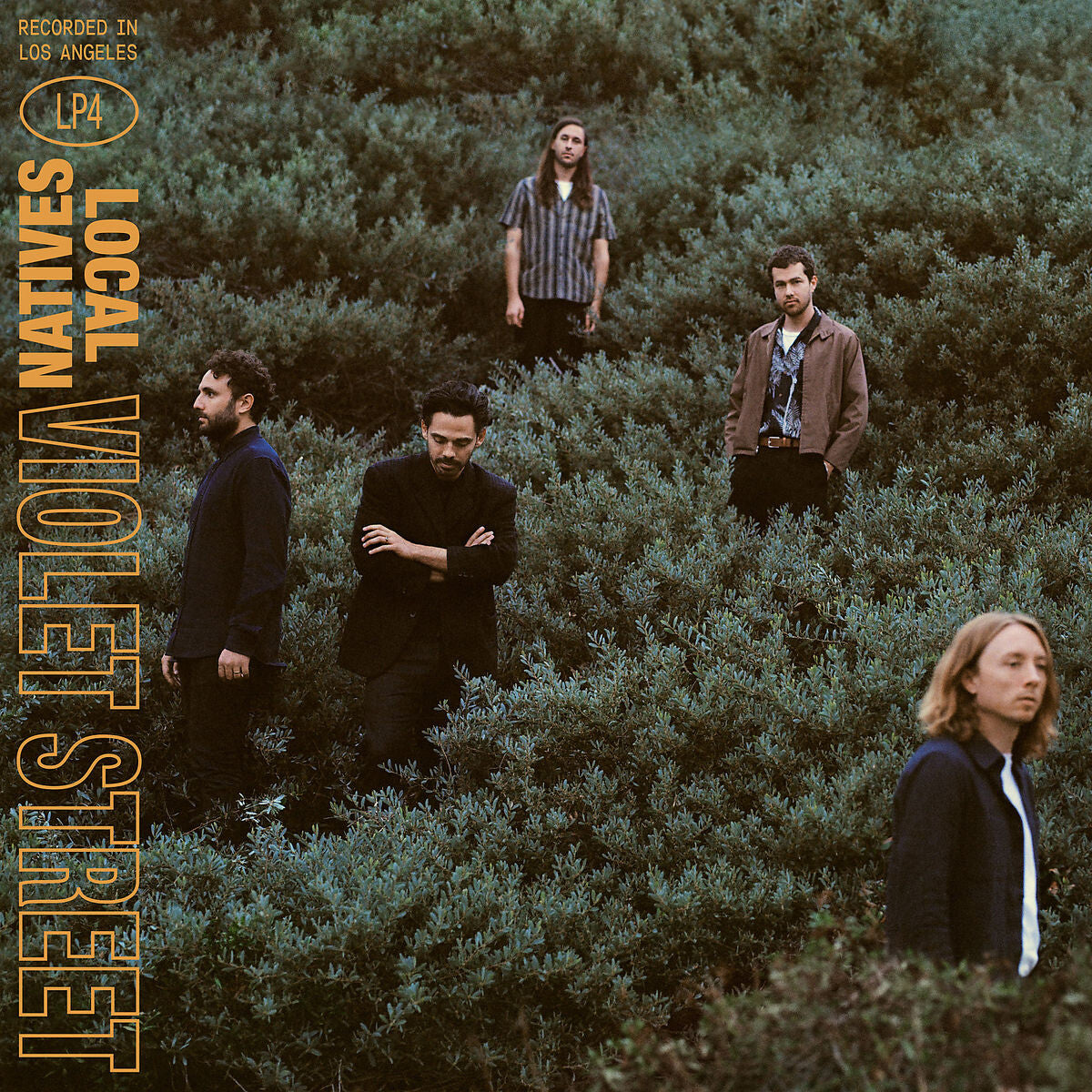 Local Natives VIOLET STREET Vinyl 379879