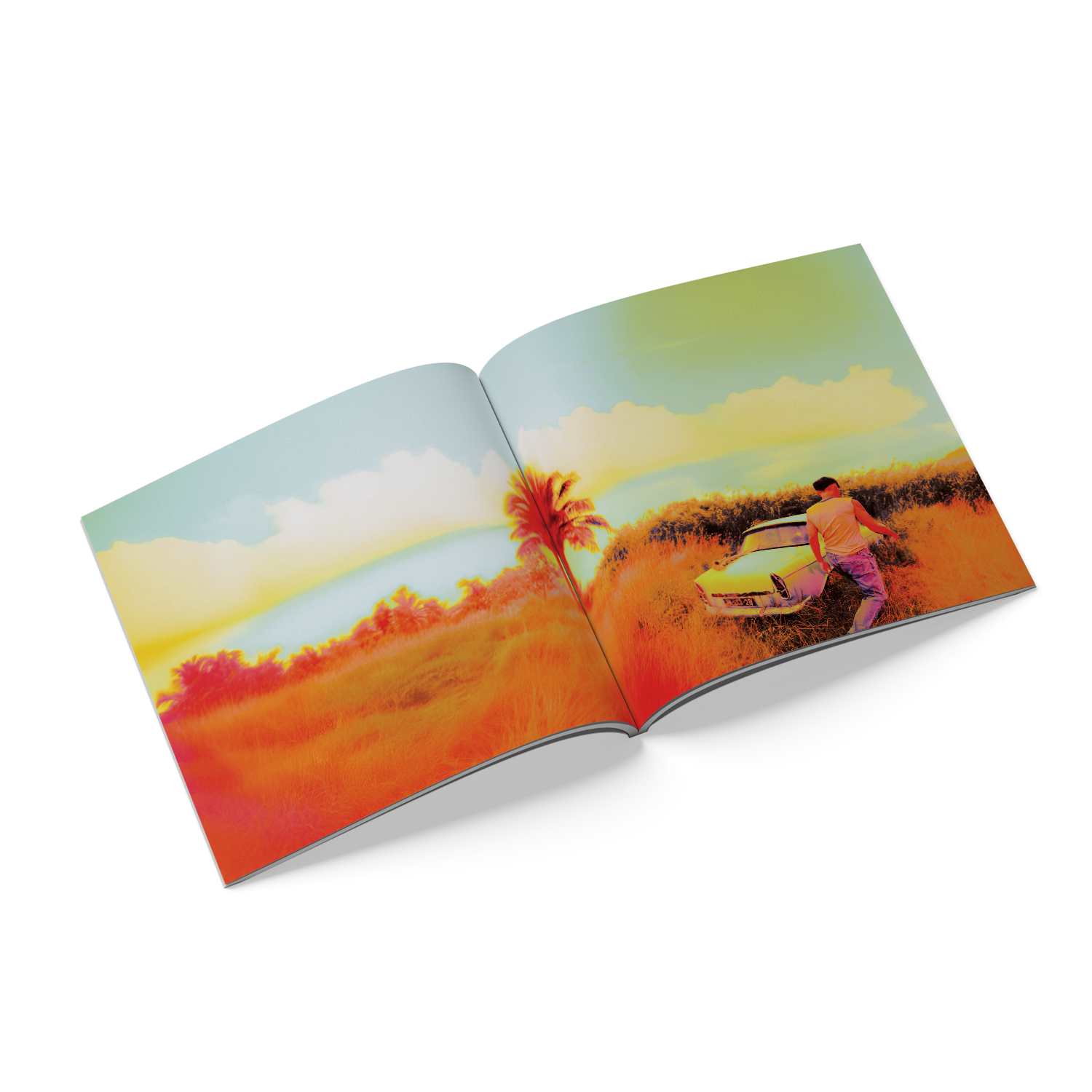 Louis Tomlinson How Did I Get Here? Alternate Cover CD 426320