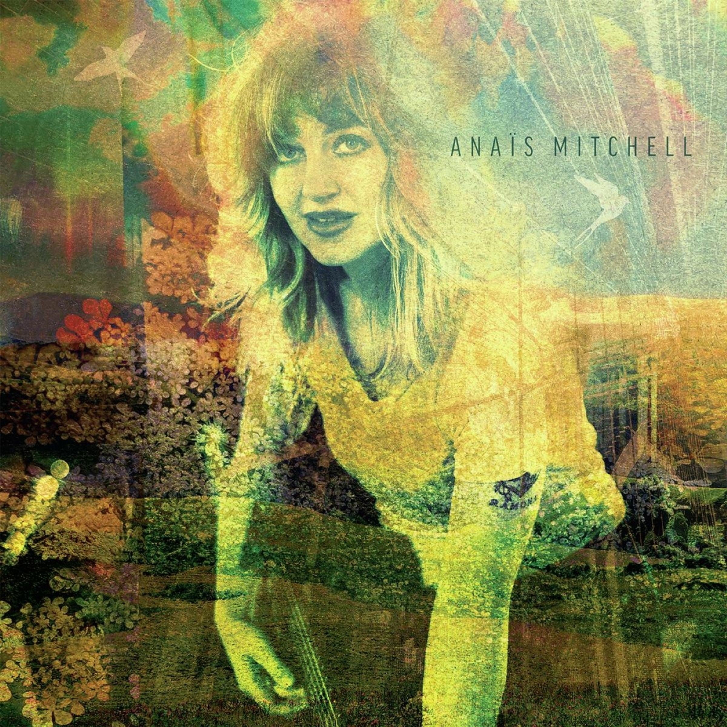 Mitchell,Anaïs Anaïs Mitchell Vinyl 430006