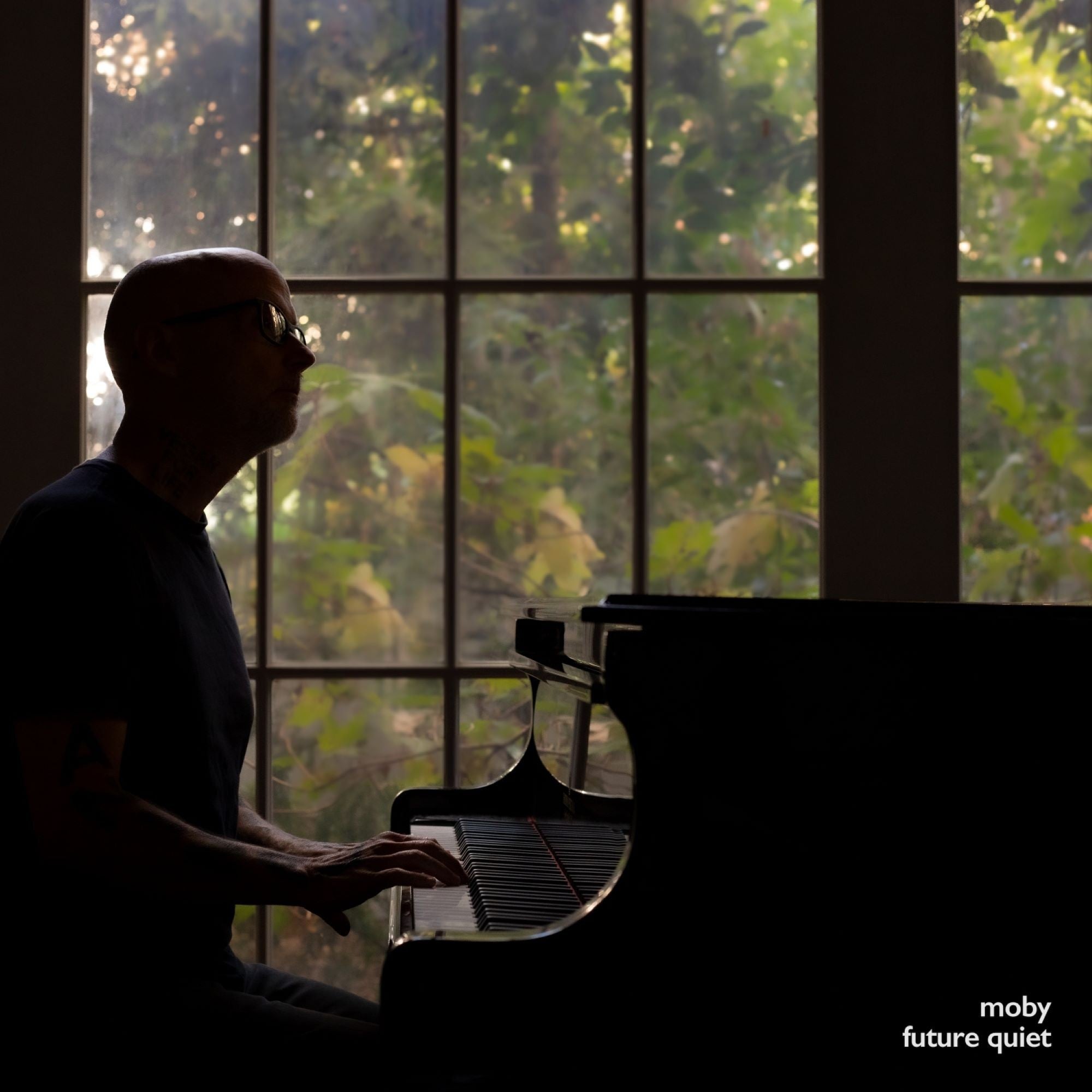 Moby Future Quiet (Transparent 2LP) Vinyl 436813