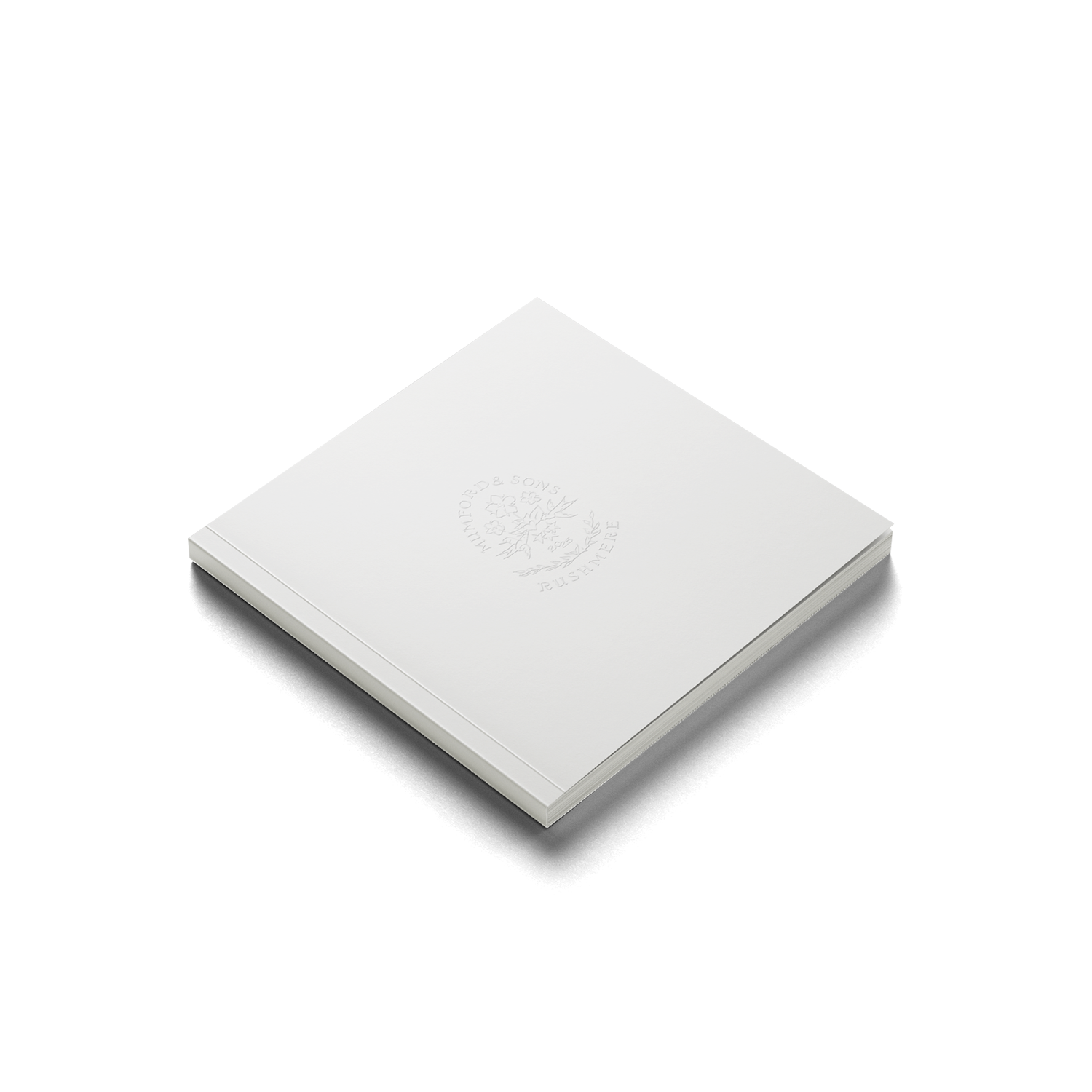 Mumford & Sons RUSHMERE  'Almost Places Recycled Red Vinyl' Deluxe LP 393522