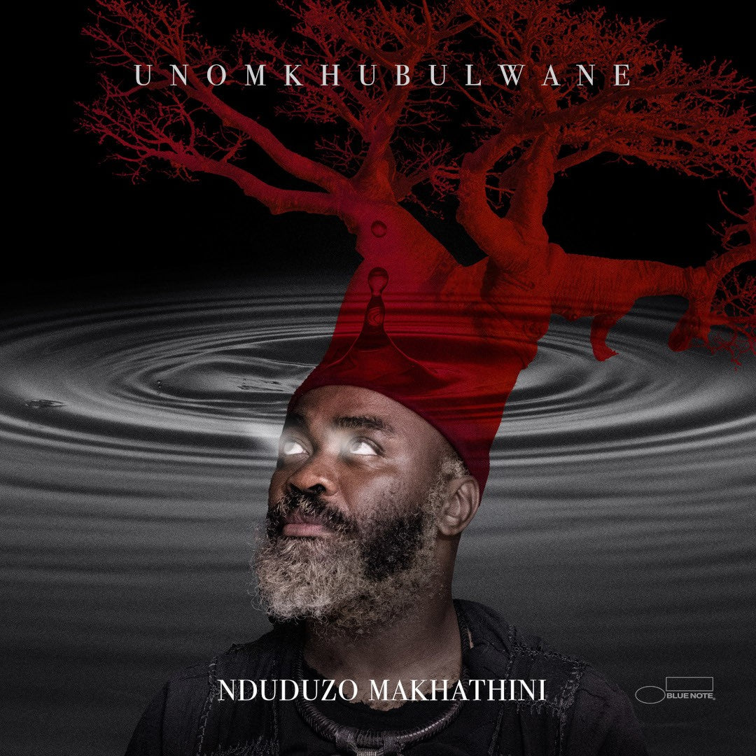 Nduduzo Makhathini uNomkhubulwane 2LP 355050