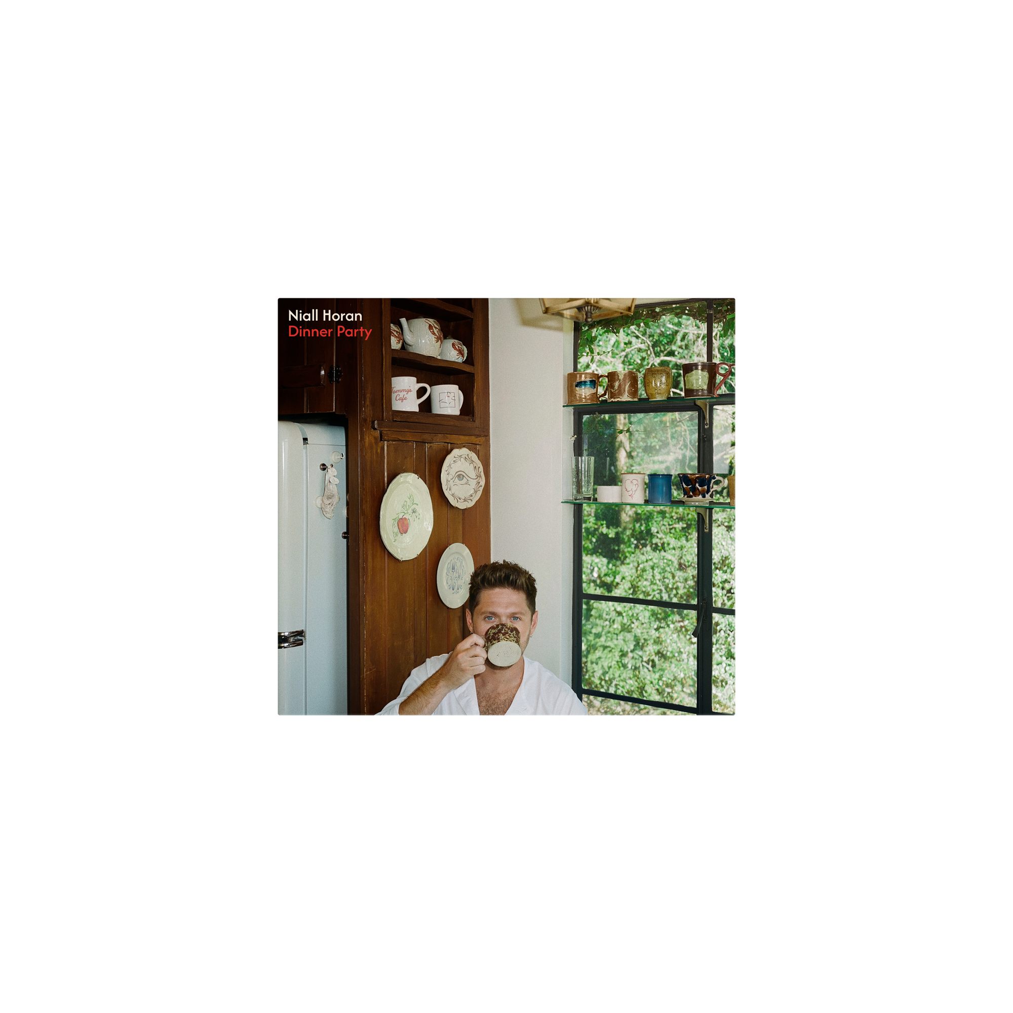 Niall Horan Dinner Party - CD CD 438765