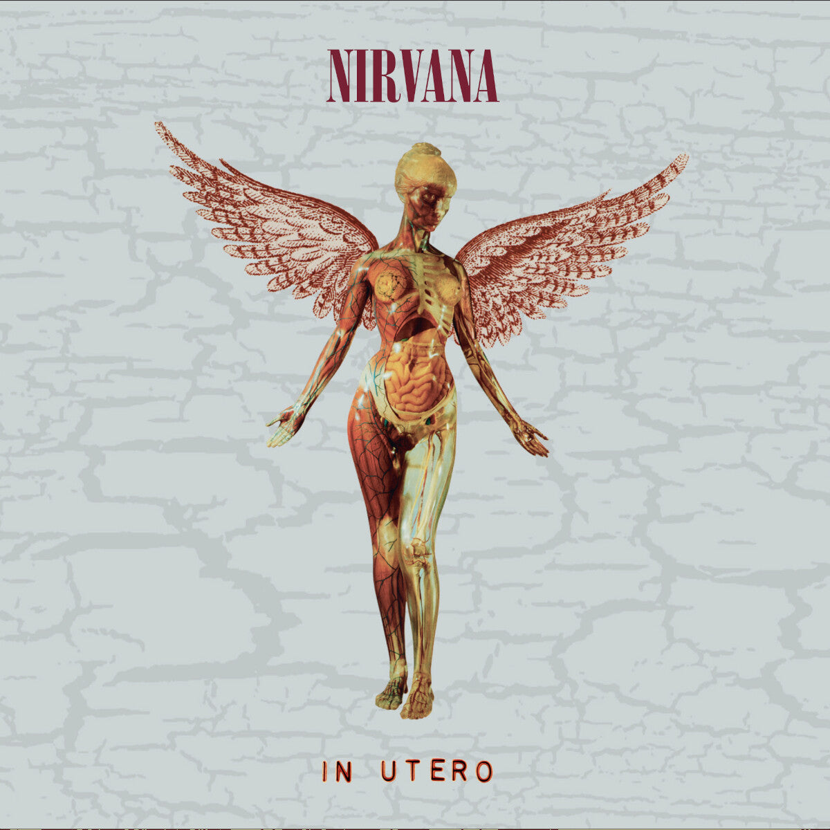 洋楽 NIRVANA IN UTERO ULTRADISC II In Utero - The Circle
