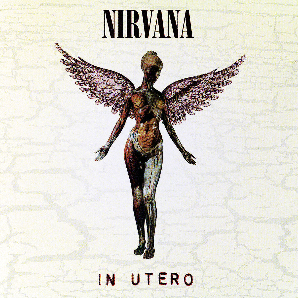 https://images.bravado.de/prod/product-assets/product-asset-data/nirvana/nirvana-1/products/142286/web/308924/image-thumb__308924__3000x3000_original/Nirvana_In-Utero_LP_s142286_o208632_a308924_v11961010.8892f3af.jpg