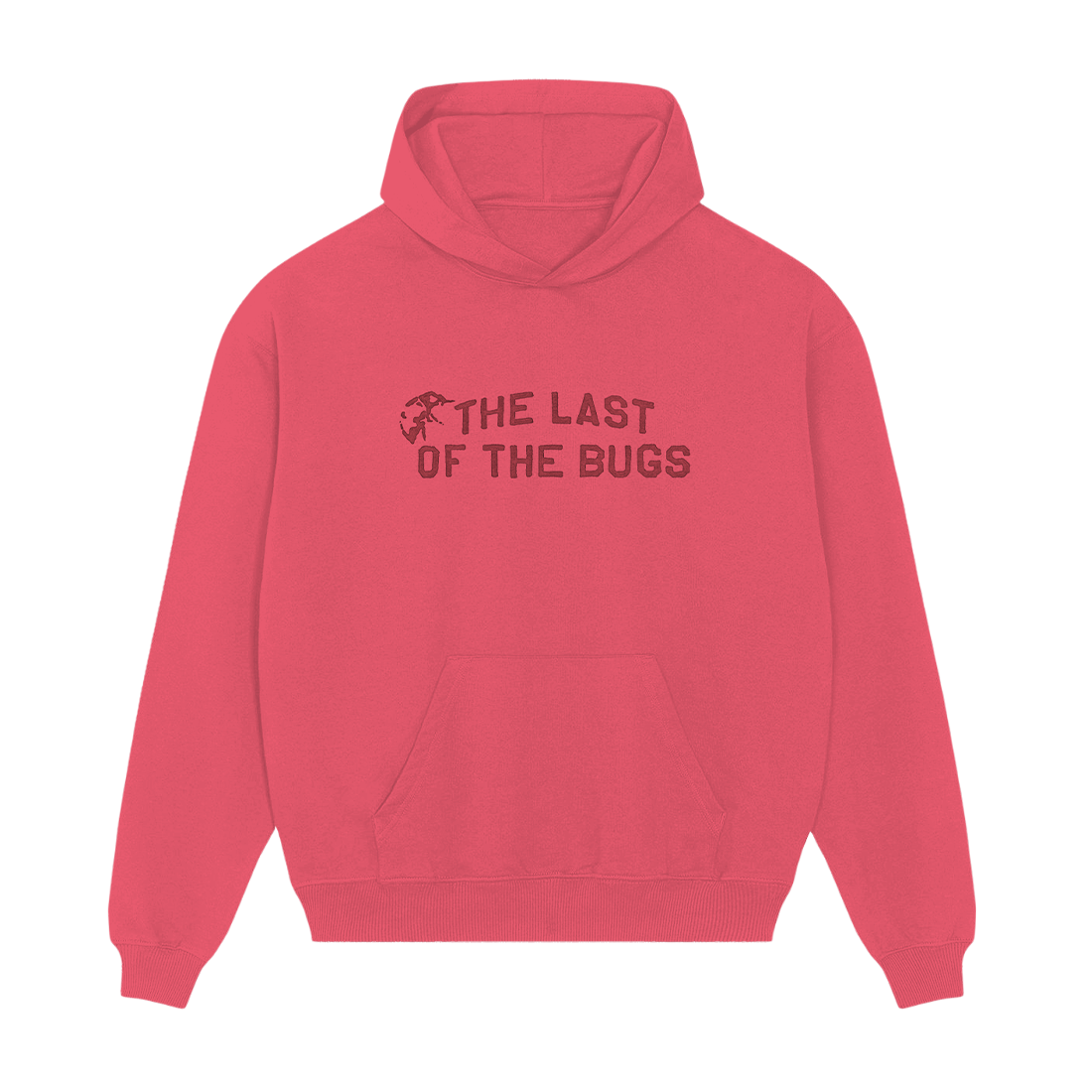 Noah Kahan The Last Of The Bugs Hoodie - Ladybug Hoodie 455066