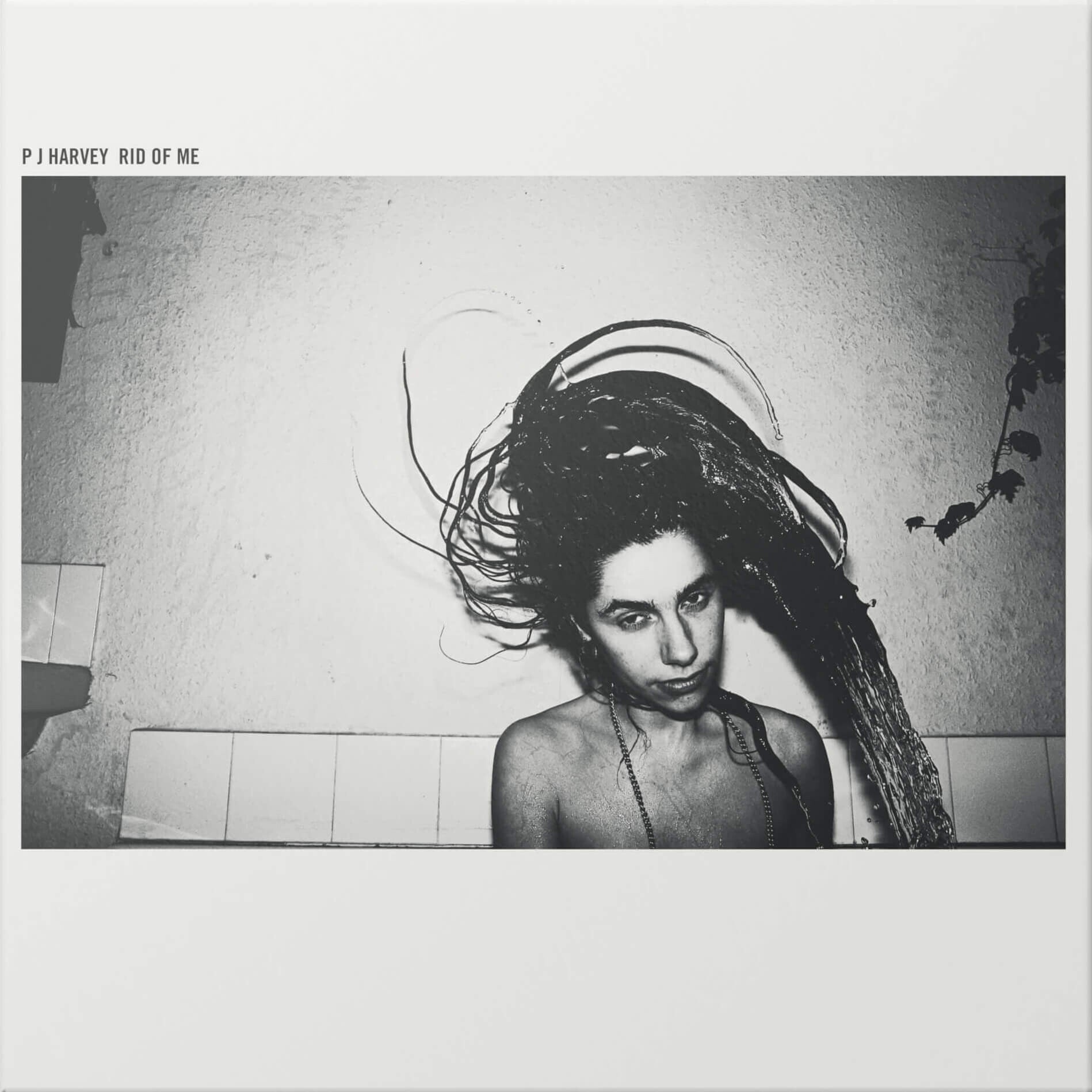 PJ Harvey Rid Of Me 1LP 148500