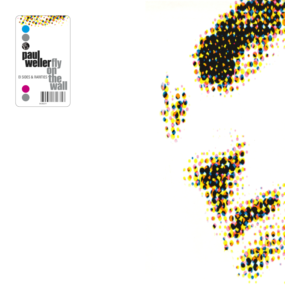 Paul Weller Fly On The Wall: B-sides & Rarities 1991 - 2001 3LP 365101