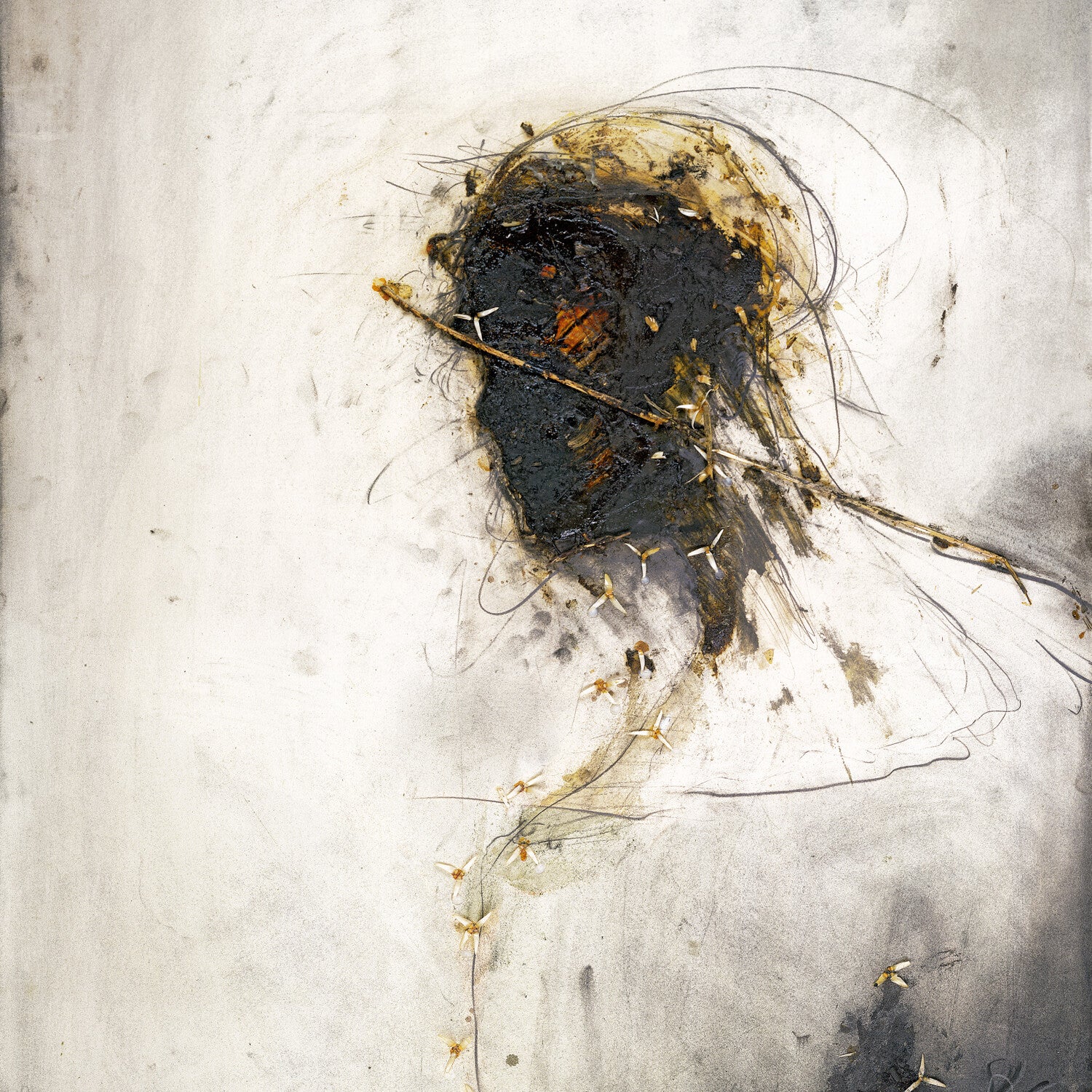 Peter Gabriel Passion 2LP 152413