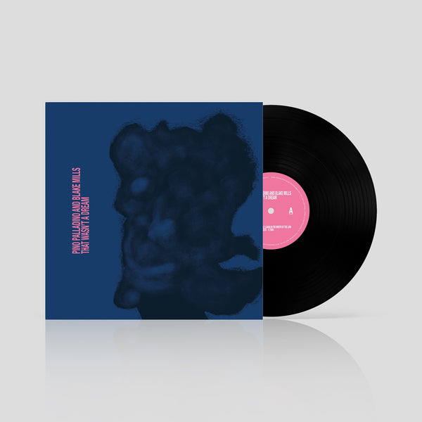 Pino Palladino, Blake Mills - That Wasn't A Dream (1LP)