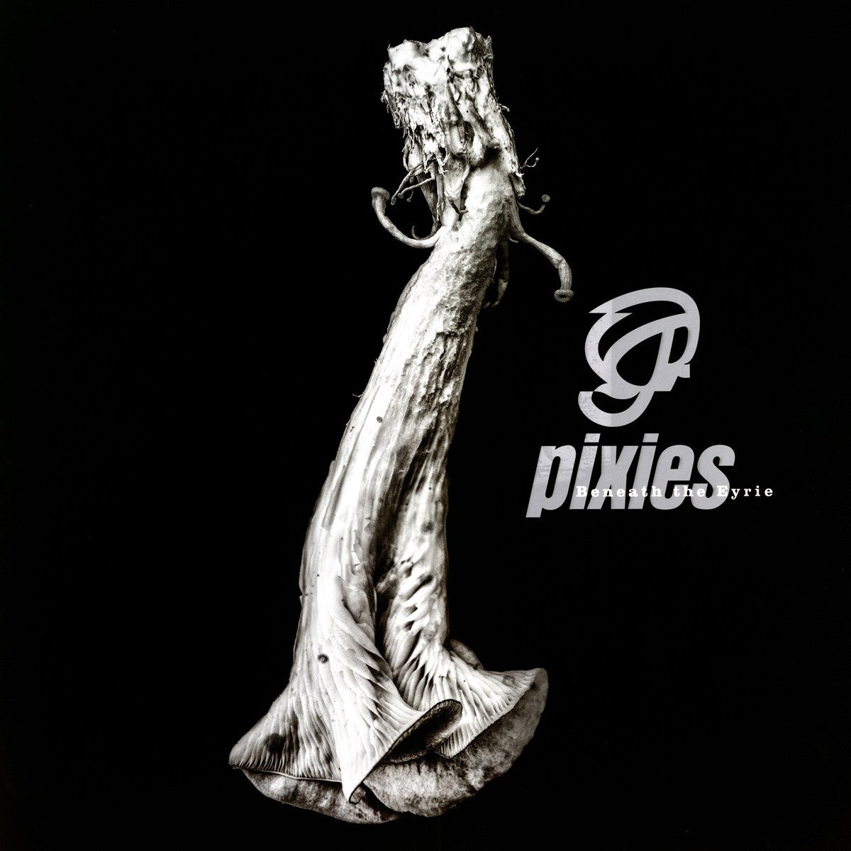 Pixies Beneath the Eyrie Vinyl 427106