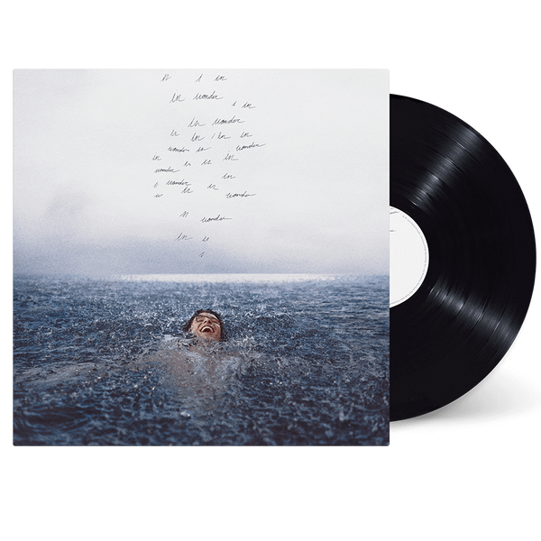 Shawn Mendes - WONDER STANDARD VINYL (Vinyl)